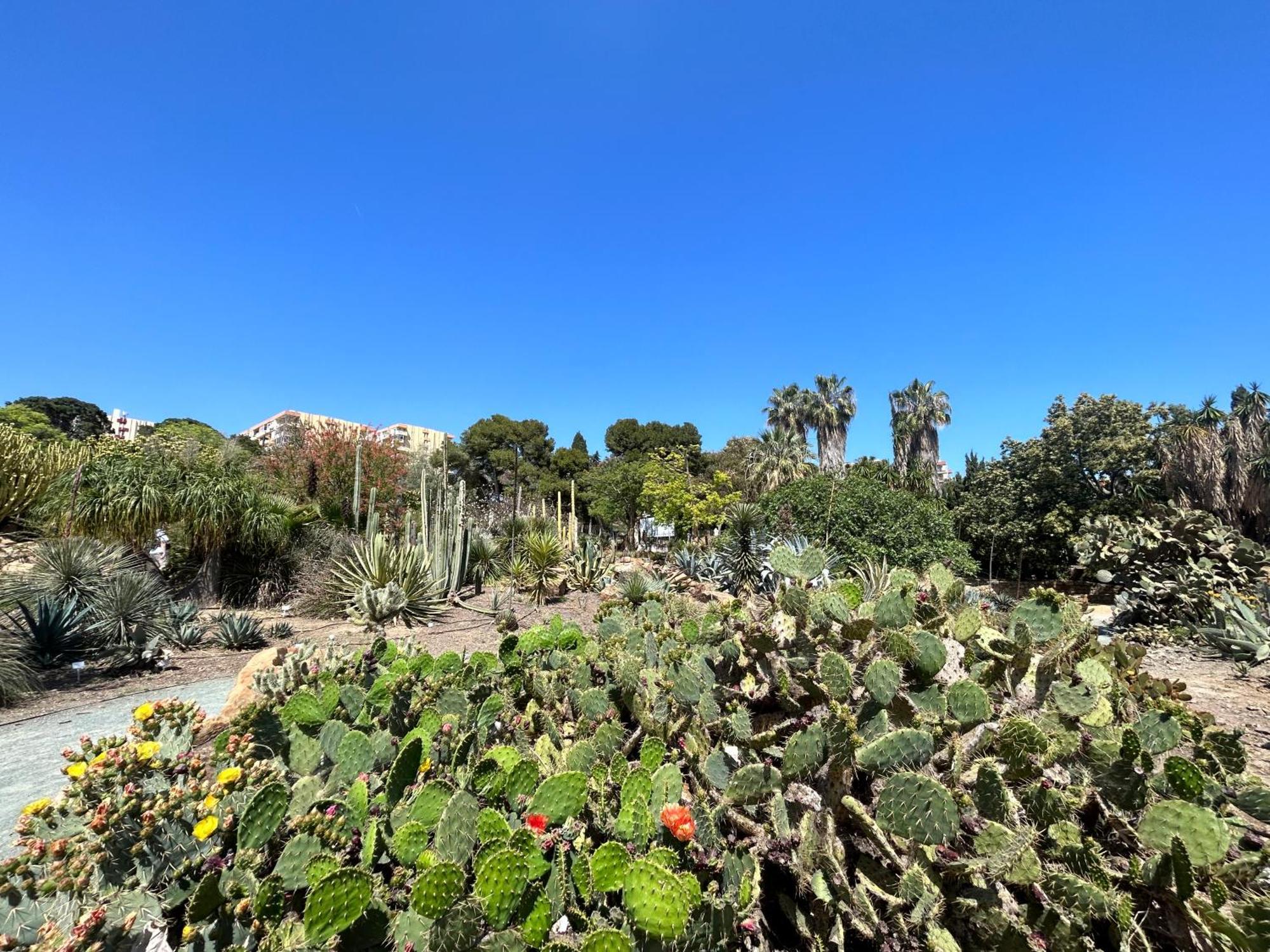 Acogedor Apartamento En Benalmadena Vistas المظهر الخارجي الصورة